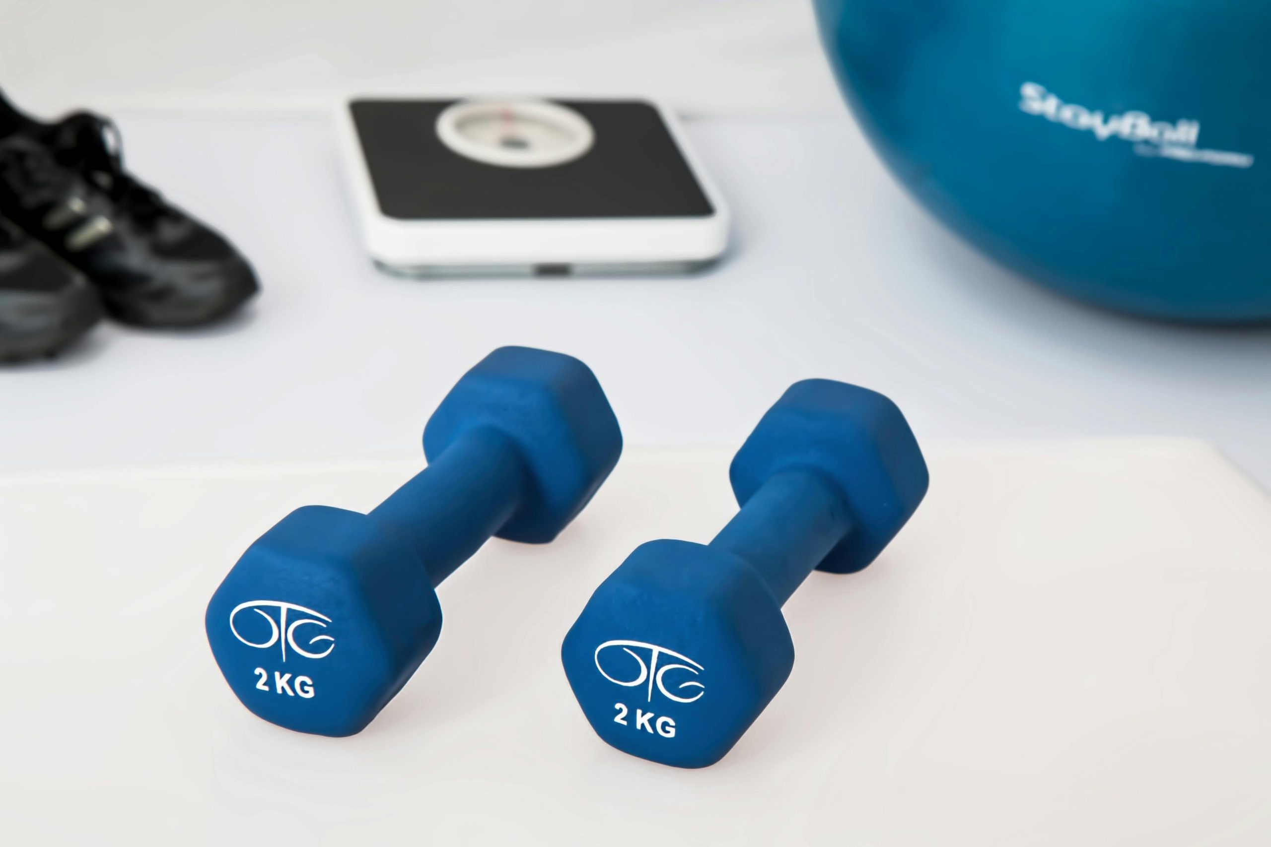 Physiotherapy Weight Training Dumbbell Exercise Balls 39671 Scaled